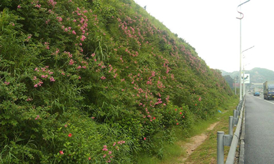 hydroseeder used in the slope protection and slope greening