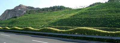 Hydroseeder for high-speed railway slope greening