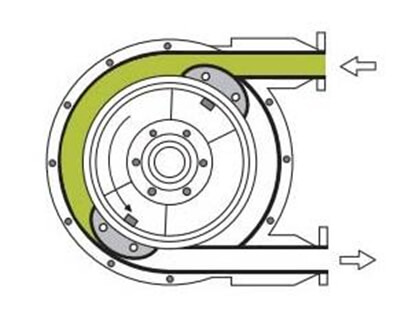 Shoe structure