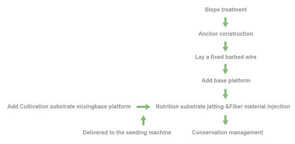 Hydro soil seeding steps