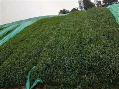 hydroseeding slope equipment