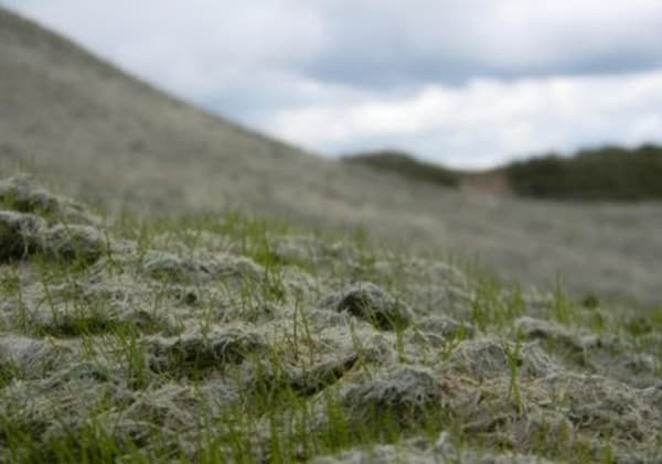 influence of hydroseeding machine