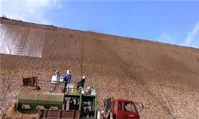 hydroseeder machine for slope green 