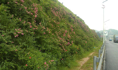 hydroseeding machine effect