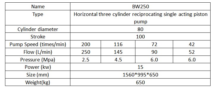 BW250 Slurry mud pump