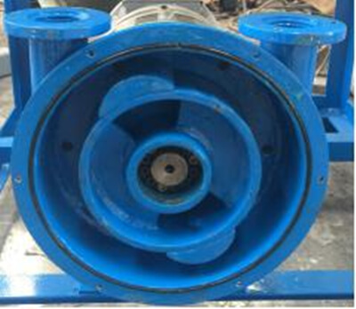 peristaltic pump pressure shoe