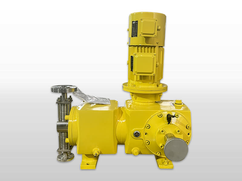 Plunger Dosing Pump