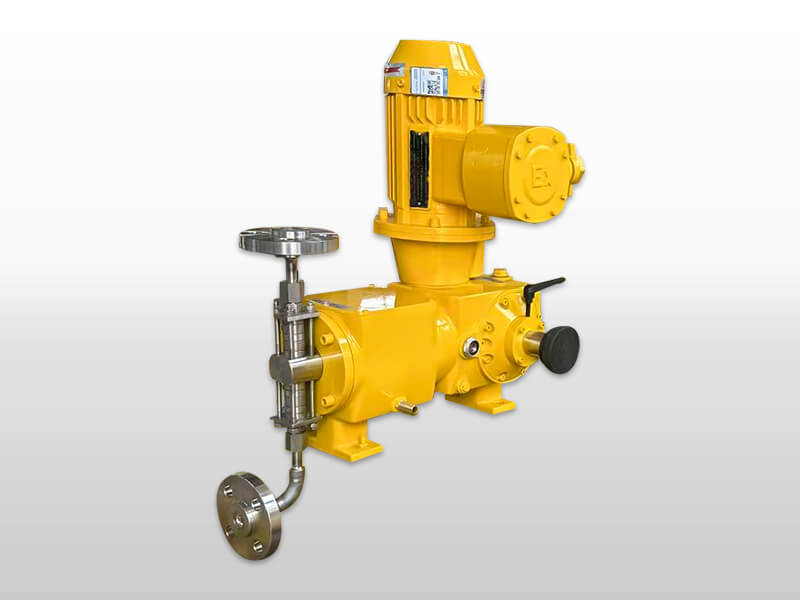 Stainless Steel Plunger Pump