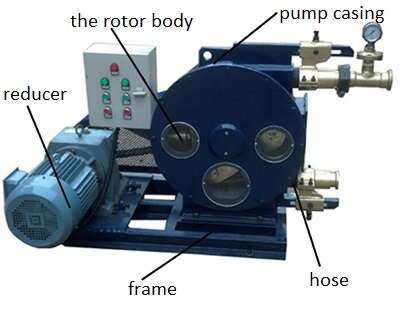 peristaltic pump to singapore