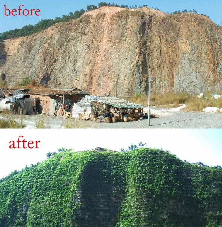 hydroseeding machine for slope greening